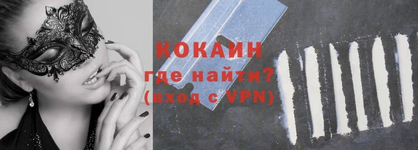 сатива Вязьма