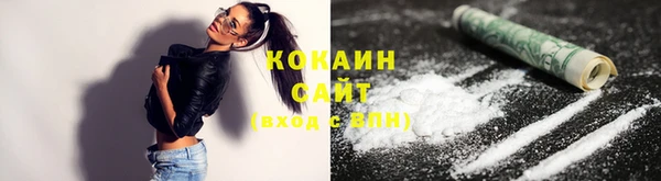 сатива Вязьма