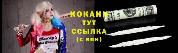 стаф Вяземский
