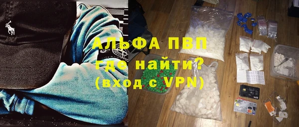 стаф Вяземский