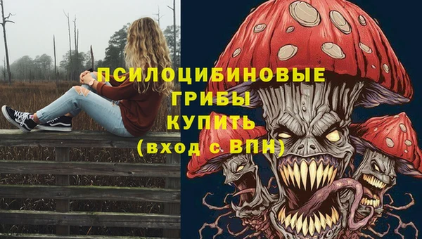марки lsd Горно-Алтайск