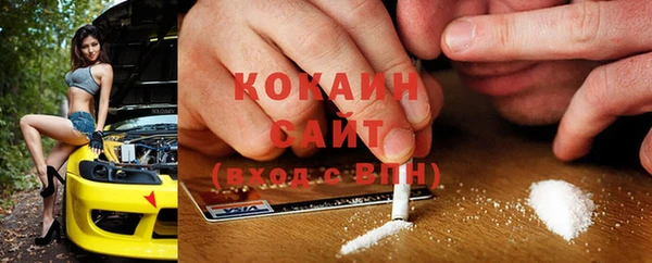 сатива Вязьма