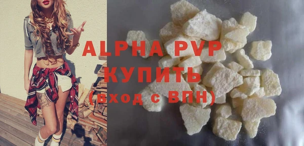 стаф Вяземский